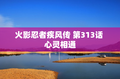 火影忍者疾风传 第313话 心灵相通