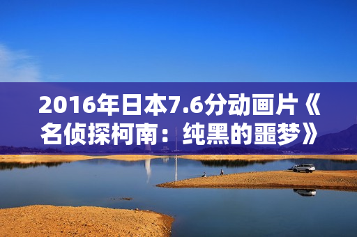 2016年日本7.6分动画片《名侦探柯南：纯黑的噩梦》BD日语中字