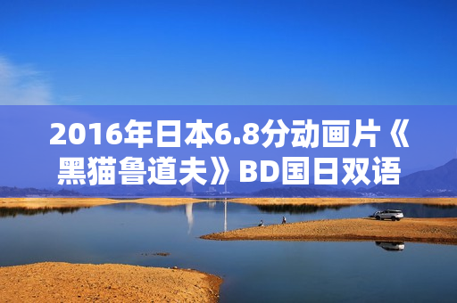 2016年日本6.8分动画片《黑猫鲁道夫》BD国日双语中字