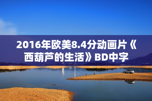 2016年欧美8.4分动画片《西葫芦的生活》BD中字