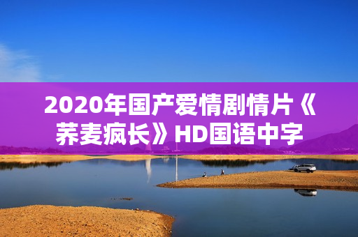 2020年国产爱情剧情片《荞麦疯长》HD国语中字