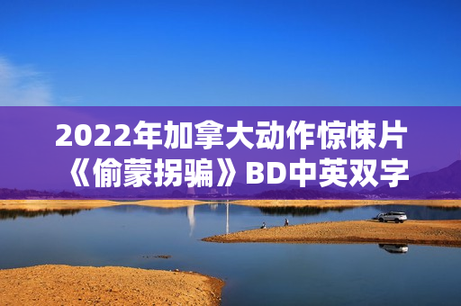 2022年加拿大动作惊悚片《偷蒙拐骗》BD中英双字