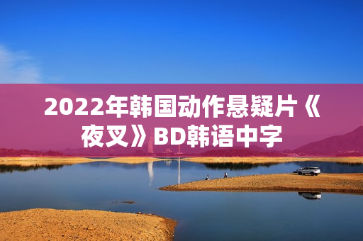 2022年韩国动作悬疑片《夜叉》BD韩语中字