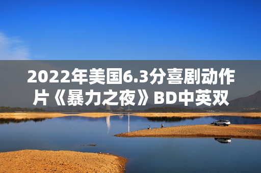 2022年美国6.3分喜剧动作片《暴力之夜》BD中英双字