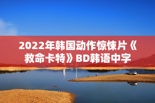 2022年韩国动作惊悚片《救命卡特》BD韩语中字