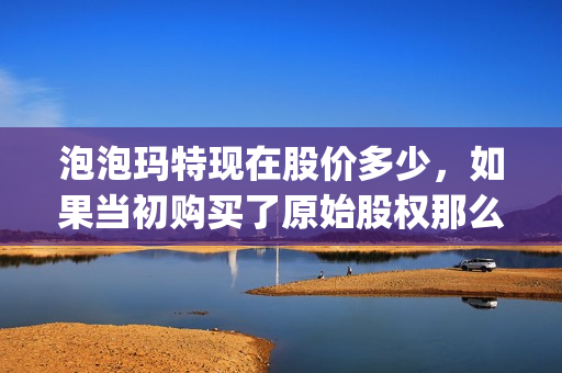 泡泡玛特现在股价多少，如果当初购买了原始股权那么现在赚了多少倍？(泡泡玛特股价再创新高)