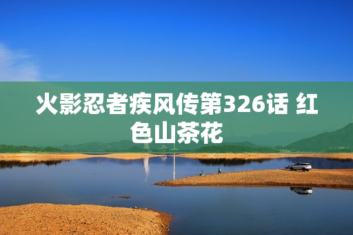 火影忍者疾风传第326话 红色山茶花