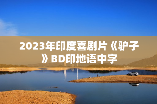 2023年印度喜剧片《驴子》BD印地语中字