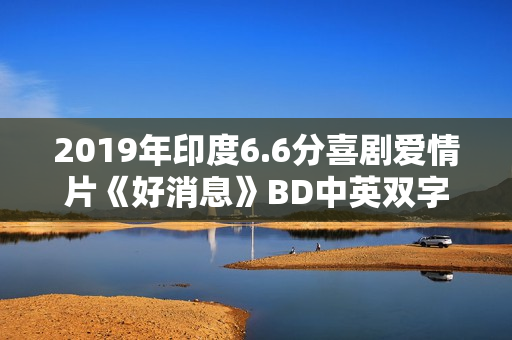 2019年印度6.6分喜剧爱情片《好消息》BD中英双字