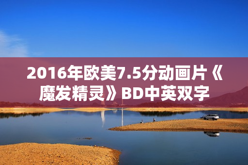 2016年欧美7.5分动画片《魔发精灵》BD中英双字