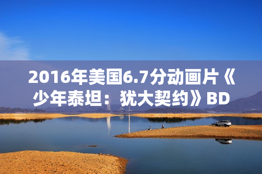 2016年美国6.7分动画片《少年泰坦：犹大契约》BD中英双字