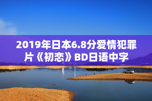 2019年日本6.8分爱情犯罪片《初恋》BD日语中字