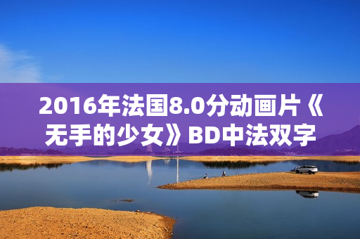 2016年法国8.0分动画片《无手的少女》BD中法双字