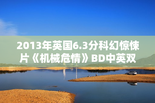2013年英国6.3分科幻惊悚片《机械危情》BD中英双字