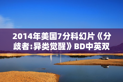 2014年美国7分科幻片《分歧者:异类觉醒》BD中英双字修复版