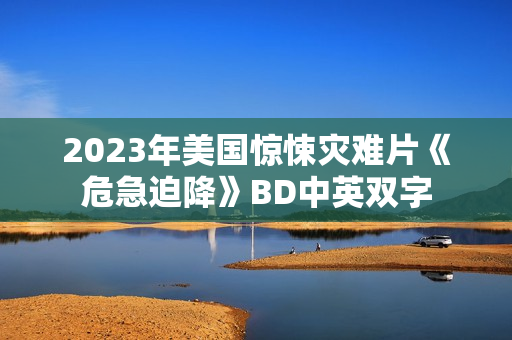 2023年美国惊悚灾难片《危急迫降》BD中英双字