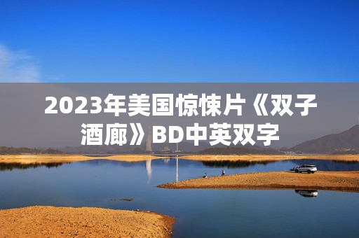 2023年美国惊悚片《双子酒廊》BD中英双字