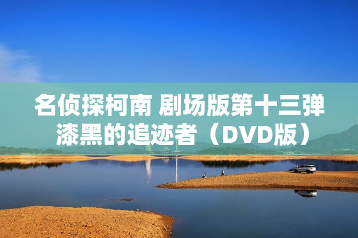 名侦探柯南 剧场版第十三弹 漆黑的追迹者（DVD版）