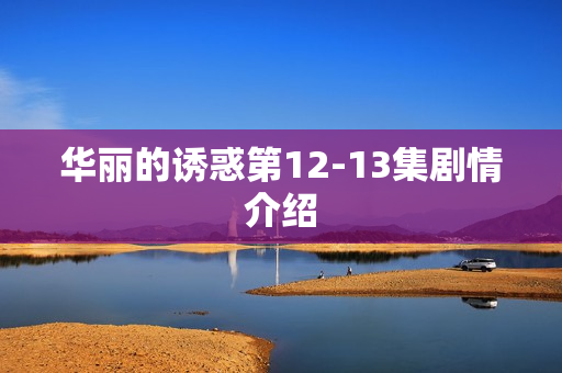 华丽的诱惑第12-13集剧情介绍