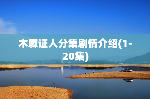 木棘证人分集剧情介绍(1-20集)