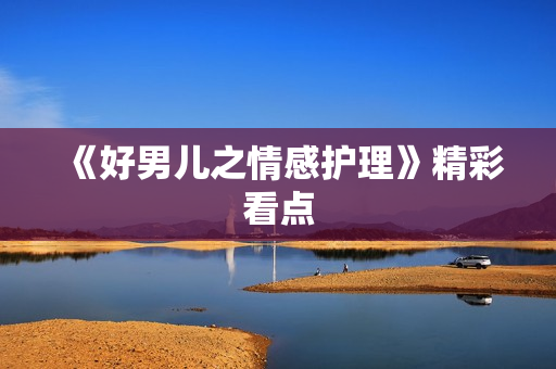 《好男儿之情感护理》精彩看点