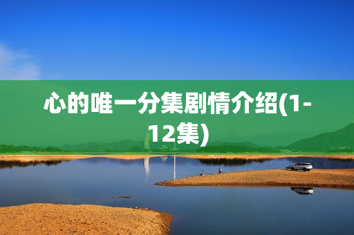 心的唯一分集剧情介绍(1-12集)