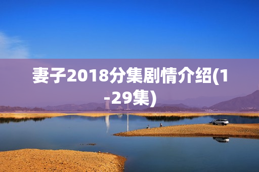 妻子2018分集剧情介绍(1-29集)