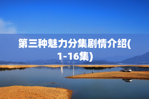 第三种魅力分集剧情介绍(1-16集)