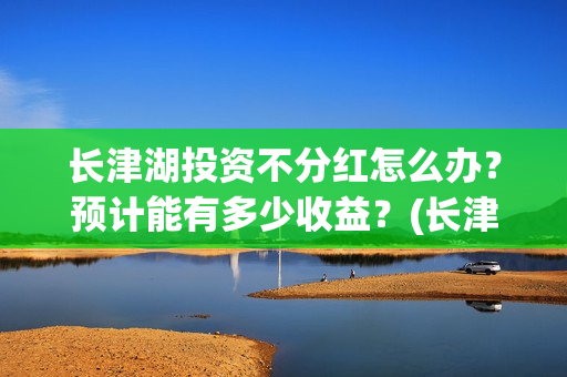 长津湖投资不分红怎么办？预计能有多少收益？(长津湖投资才5亿和13亿)