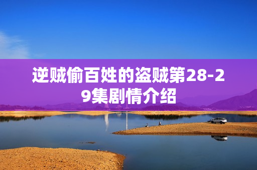 逆贼偷百姓的盗贼第28-29集剧情介绍