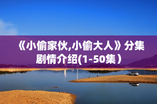 《小偷家伙,小偷大人》分集剧情介绍(1-50集）