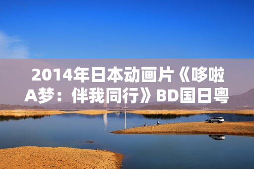 2014年日本动画片《哆啦A梦：伴我同行》BD国日粤3语中字