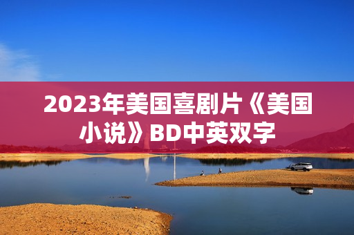 2023年美国喜剧片《美国小说》BD中英双字