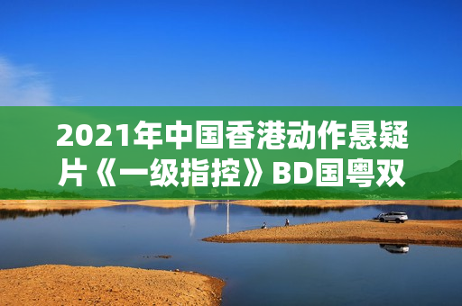 2021年中国香港动作悬疑片《一级指控》BD国粤双语中字