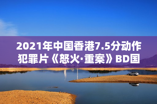 2021年中国香港7.5分动作犯罪片《怒火·重案》BD国粤双语中字