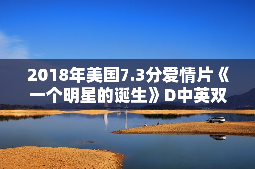 2018年美国7.3分爱情片《一个明星的诞生》D中英双字