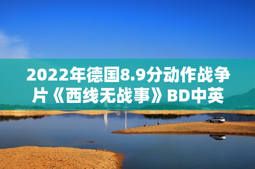 2022年德国8.9分动作战争片《西线无战事》BD中英双字 2022年德国8.9分动作战争片《西线无战事》BD中英双字