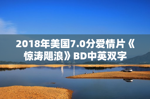 2018年美国7.0分爱情片《惊涛飓浪》BD中英双字