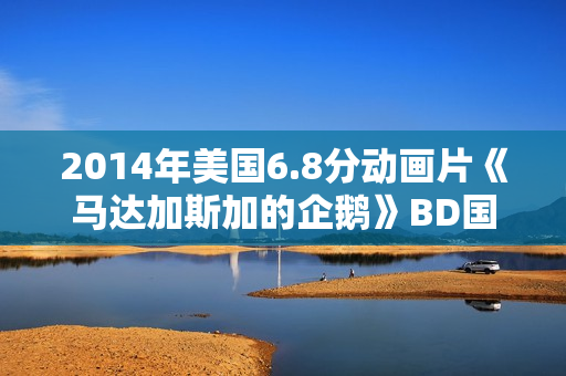 2014年美国6.8分动画片《马达加斯加的企鹅》BD国英双语双字