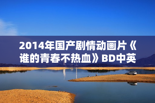 2014年国产剧情动画片《谁的青春不热血》BD中英双字