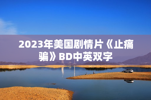 2023年美国剧情片《止痛骗》BD中英双字