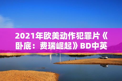 2021年欧美动作犯罪片《卧底：费瑞崛起》BD中英双字
