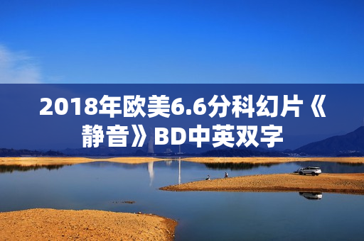 2018年欧美6.6分科幻片《静音》BD中英双字