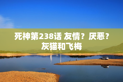 死神第238话 友情？厌恶？灰猫和飞梅