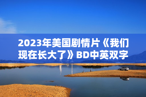 2023年美国剧情片《我们现在长大了》BD中英双字