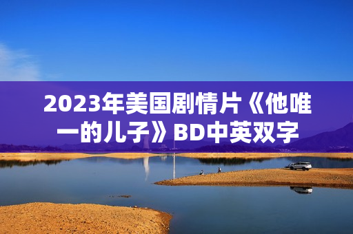 2023年美国剧情片《他唯一的儿子》BD中英双字