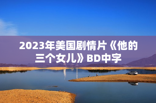 2023年美国剧情片《他的三个女儿》BD中字