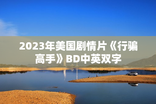 2023年美国剧情片《行骗高手》BD中英双字