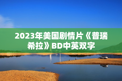 2023年美国剧情片《普瑞希拉》BD中英双字