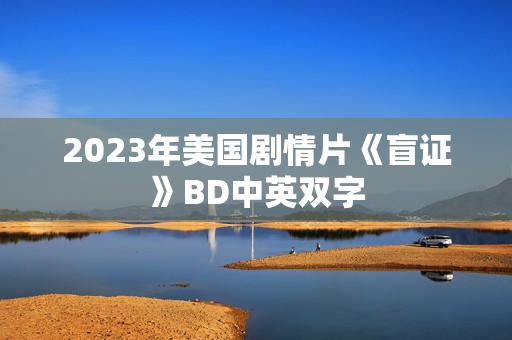 2023年美国剧情片《盲证》BD中英双字